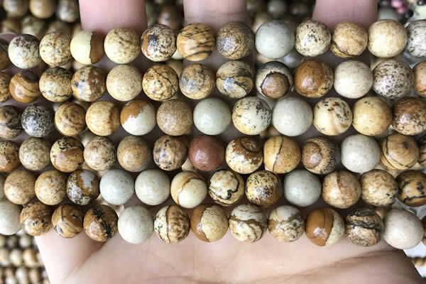 CPJ660 15.5 inches 8mm round picture jasper beads wholesale