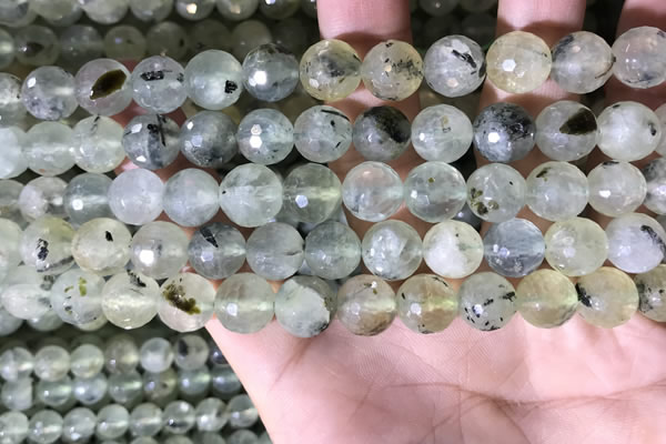 CPR359 15.5 inches 10mm faceted round prehnite beads wholesale