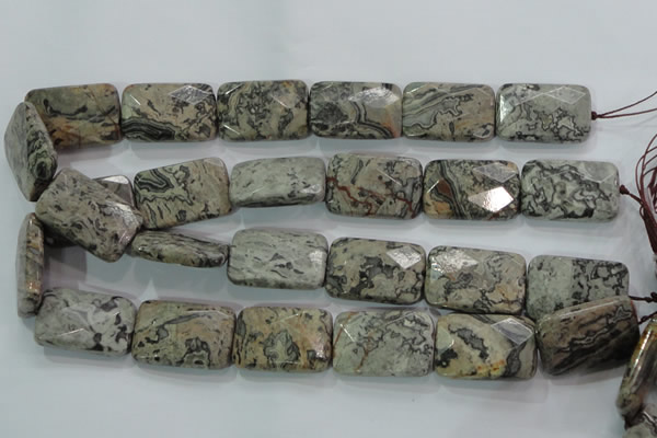 CPT131 15.5 inches 20*30mm faceted rectangle grey picture jasper beads