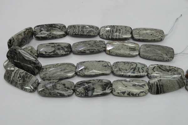 CPT132 15.5 inches 20*40mm faceted rectangle grey picture jasper beads