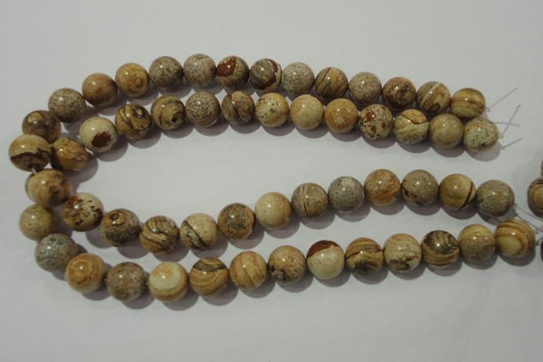 CPT455 15.5 inches 14mm round picture jasper beads wholesale