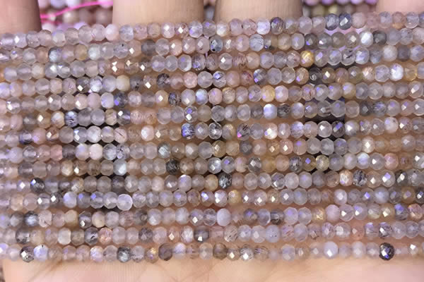 CRB2219 15.5 inches 2*3mm faceted rondelle moonstone beads