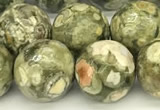 CRH582 15 inches 10mm faceted round rhyolite beads wholesale