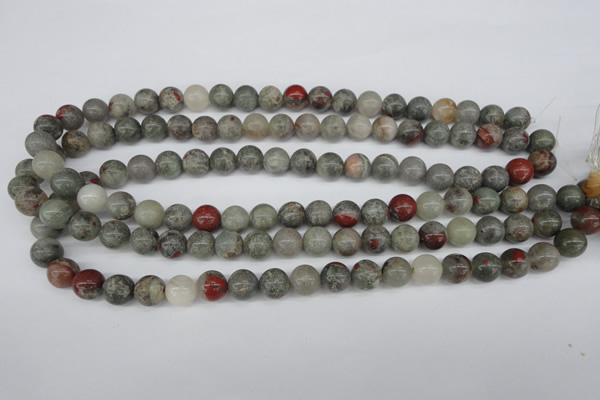 CRO190 15.5 inches 10mm round bloodstone beads wholesale