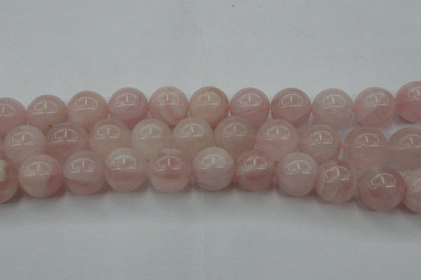 CRQ675 15.5 inches 16mm round rose quartz beads wholesale