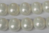 CSB136 15.5 inches 12*15mm – 13*16mm oval shell pearl beads