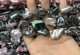 CSB2180 15.5 inches 16*16mm - 20*22mm baroque mixed shell pearl beads