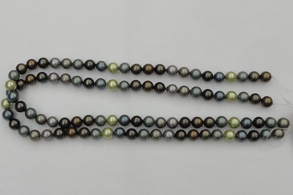 CSB316 15.5 inches 8mm round mixed color shell pearl beads