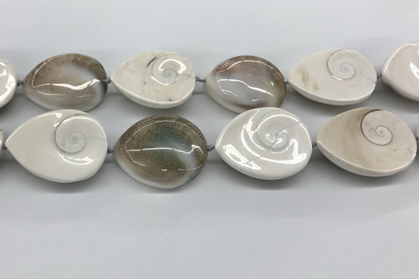 CSB4505 15.5 inches 28*38mm - 32*42mm teardrop shell beads wholesale