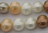 CSB695 15.5 inches 13*15mm oval mixed color shell pearl beads
