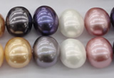 CSB696 15.5 inches 13*15mm oval mixed color shell pearl beads