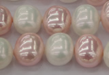 CSB712 15.5 inches 16*19mm oval mixed color shell pearl beads