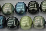 CSB719 15.5 inches 16*19mm oval mixed color shell pearl beads