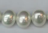 CSB825 15.5 inches 16*19mm oval shell pearl beads wholesale
