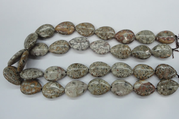 CSF03 15.5 inches 18*25mm flat teardrop shell fossil jasper beads