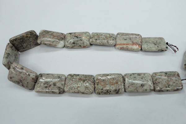 CSF10 15.5 inches 22*30mm rectangle shell fossil jasper beads