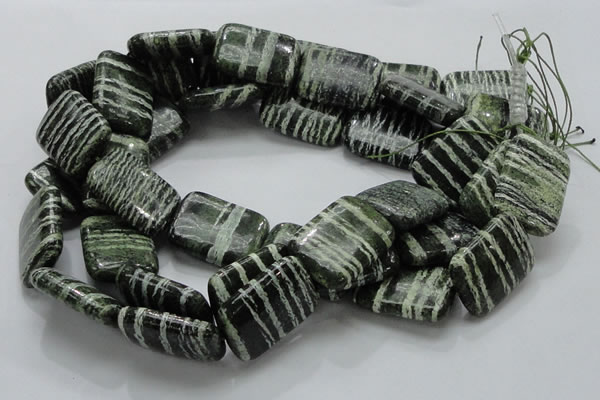 CSJ39 15.5 inches 22*30mm rectangle green silver line jasper beads