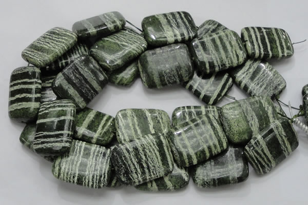 CSJ40 15.5 inches 30*40mm rectangle green silver line jasper beads