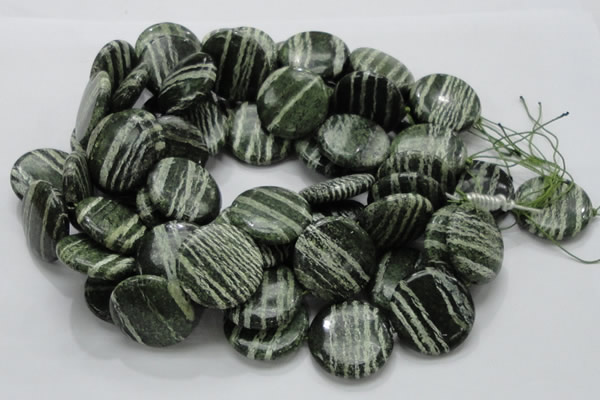 CSJ46 15.5 inches 30mm flat round green silver line jasper beads