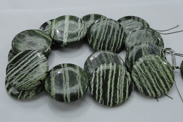 CSJ49 15.5 inches 50mm flat round green silver line jasper beads