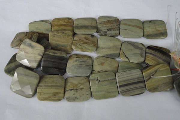 CSL122 15.5 inches 30*30mm faceted square silver leaf jasper beads