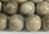 CSL153 15.5 inches 10mm round 

sliver leaf jasper beads wholesale
