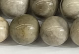 CSL154 15.5 inches 12mm round 

sliver leaf jasper beads wholesale