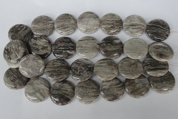 CSL35 15.5 inches 30mm flat round silver leaf jasper beads wholesale