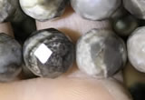 CSL94 15.5 inches 10mm faceted round sliver leaf jasper beads