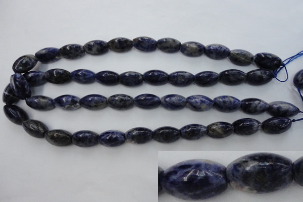 CSO359 15.5 inches 11*18mm trihedron natural sodalite beads