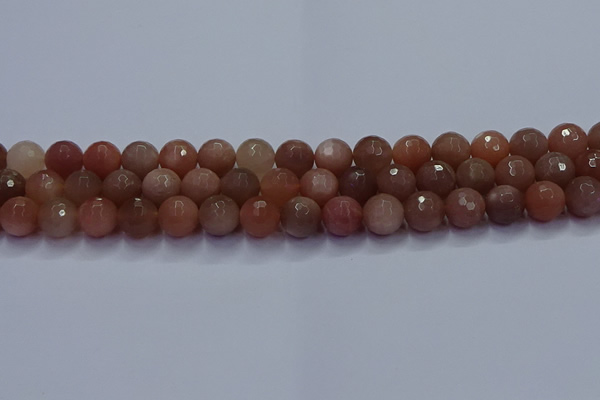 CSS673 15.5 inches 10mm faceted round sunstone gemstone beads