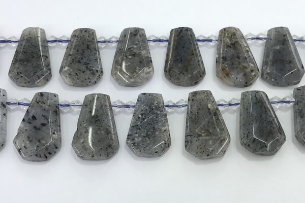 CTD2352 Top drilled 16*18mm - 20*30mm freeform moss quartz beads