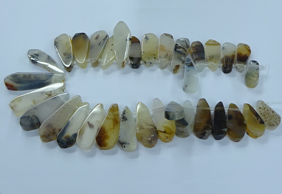 CTD2708 15.5 inches 10*25mm - 18*50mm freeform montana agate beads