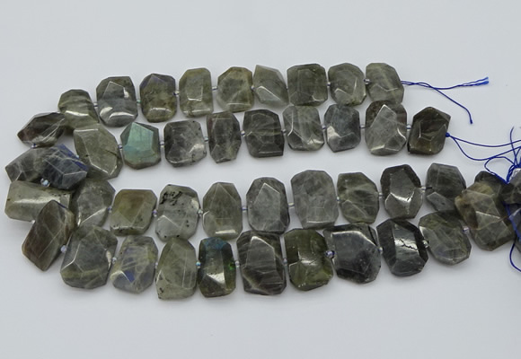 CTD3573 15.5 inches 15*20mm - 18*25mm freeform labradorite beads