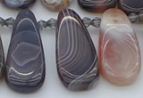 CTD3647 Top drilled 10*20mm - 15*45mm freeform matte botswana agate beads