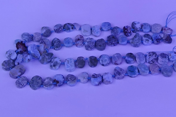 CTD3889 Top drilled 12*16mm - 13*17mm freeform larimar beads