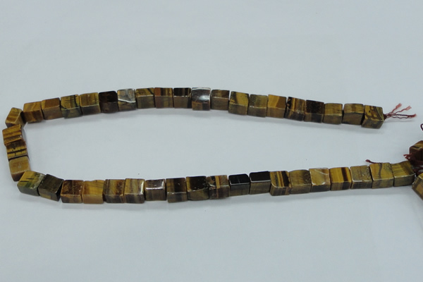 CTE121 15.5 inches 10*10mm cube yellow tiger eye beads wholesale