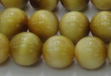 CTE1404 15.5 inches 12mm round golden tiger eye beads wholesale