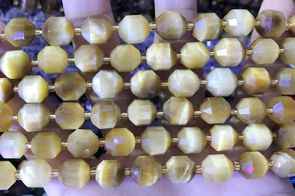 CTE2295 15 inches 9*10mm faceted golden tiger eye beads