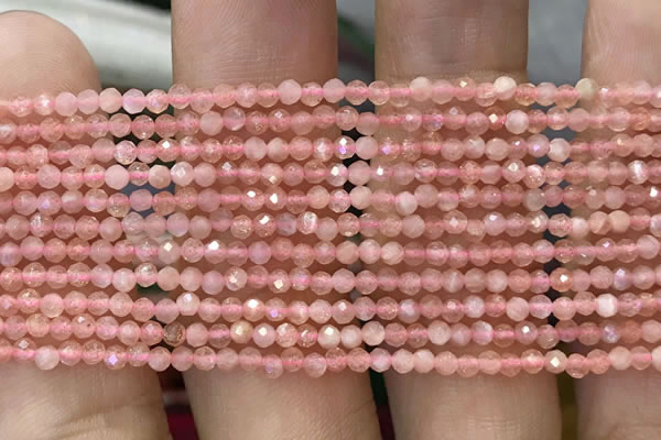 CTG1031 15.5 inches 2mm faceted round tiny moonstone beads