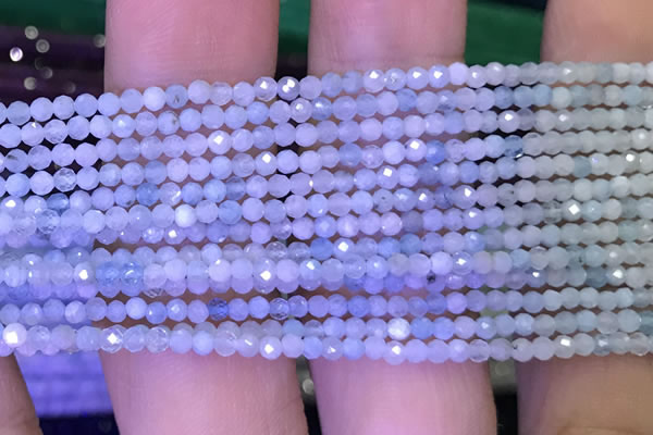 CTG1043 15.5 inches 2mm faceted round tiny aquamarine beads