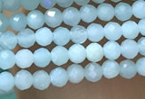 CTG1049 15.5 inches 2mm faceted round tiny amazonite beads