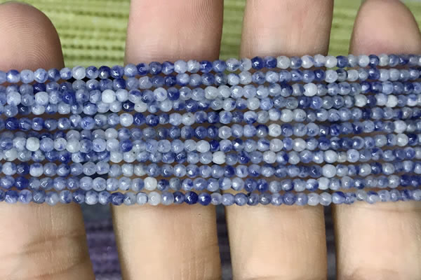 CTG1069 15.5 inches 2mm faceted round tiny blue spot stone beads