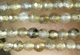 CTG1077 15.5 inches 2mm faceted round tiny labradorite beads