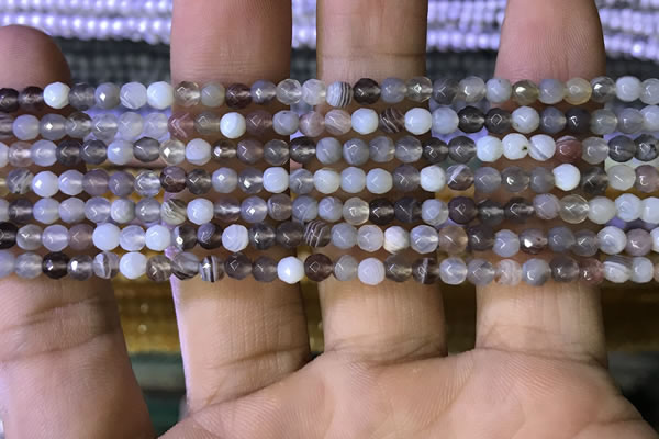 CTG1119 15.5 inches 3mm faceted round tiny Botswana agate beads