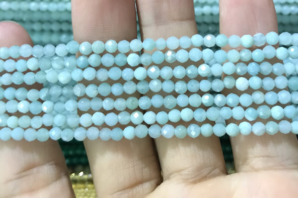 CTG1165 15.5 inches 3mm faceted round tiny amazonite beads