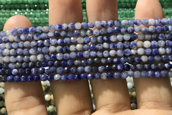 CTG1192 15.5 inches 3mm faceted round tiny blue spot stone beads