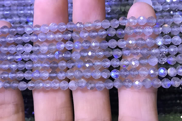 CTG1208 15.5 inches 4mm faceted round tiny labradorite beads