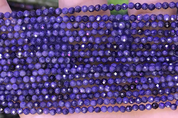CTG1333 15.5 inches 2mm faceted round sapphire beads wholesale