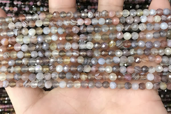 CTG1354 15.5 inches 4mm faceted round Botswana agate beads